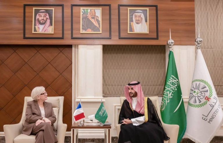 وزير الدفاع السعودي يبحث التعاون العسكري مع فرنسا