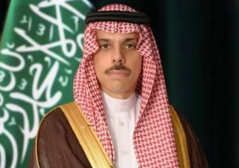 وزير الخارجية يبحث التطورات الإقليمية مع مفوض حقوق الإنسان