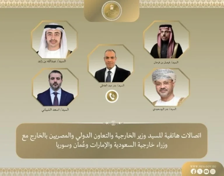 وزير الخارجية المصري: الأمن القومي العربي وحدة لا تتجزأ