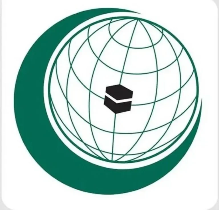 منظمة التعاون الإسلامي تدين استهداف إيران لتركيا وأذربيجان منظمة التعاون الإسلامي تدين استهداف إيران لتركيا وأذربيجان