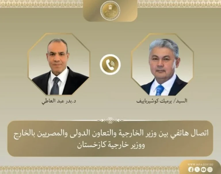 وزير الخارجية المصري: أولويتنا خفض التصعيد وحماية المنطقة