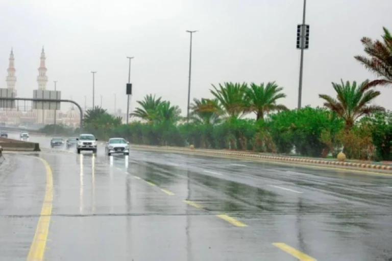 تنبيهات طقس منطقة نجران: أمطار ورياح وضباب حتى المساء تنبيهات طقس منطقة نجران: أمطار ورياح وضباب حتى المساء