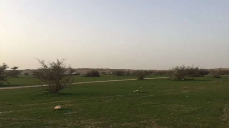 بدء فصل الربيع فلكياً في السعودية 2026: تفاصيل الاعتدال بدء فصل الربيع فلكياً في السعودية 2026: تفاصيل الاعتدال