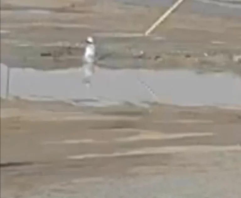 تفاصيل إنقاذ طفل في حائل: موقف بطولي يمنع كارثة بالعيد تفاصيل إنقاذ طفل في حائل: موقف بطولي يمنع كارثة بالعيد
