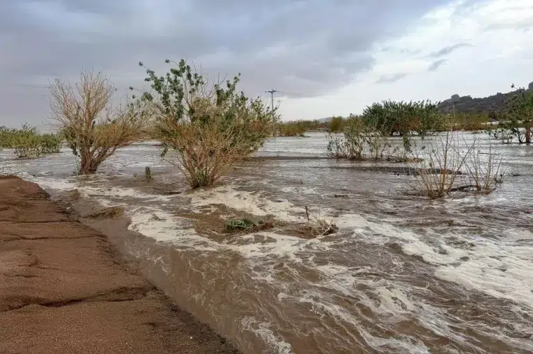 كميات هطول الأمطار في 6 مناطق سعودية: نجران تسجل الأعلى
