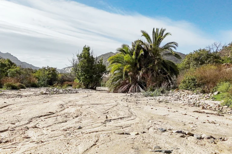 وادي عبال في الطائف: وجهة طبيعية ساحرة لعشاق السياحة وادي عبال في الطائف: وجهة طبيعية ساحرة لعشاق السياحة