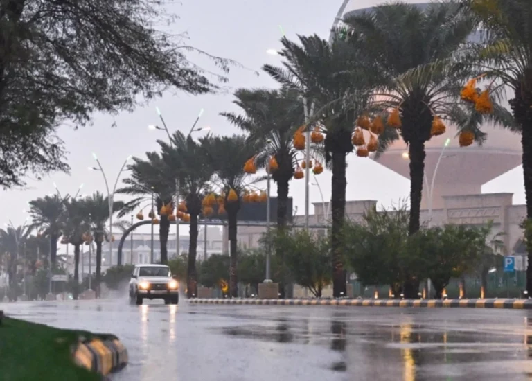 أمطار متوسطة على الشرقية اليوم: تفاصيل حالة الطقس