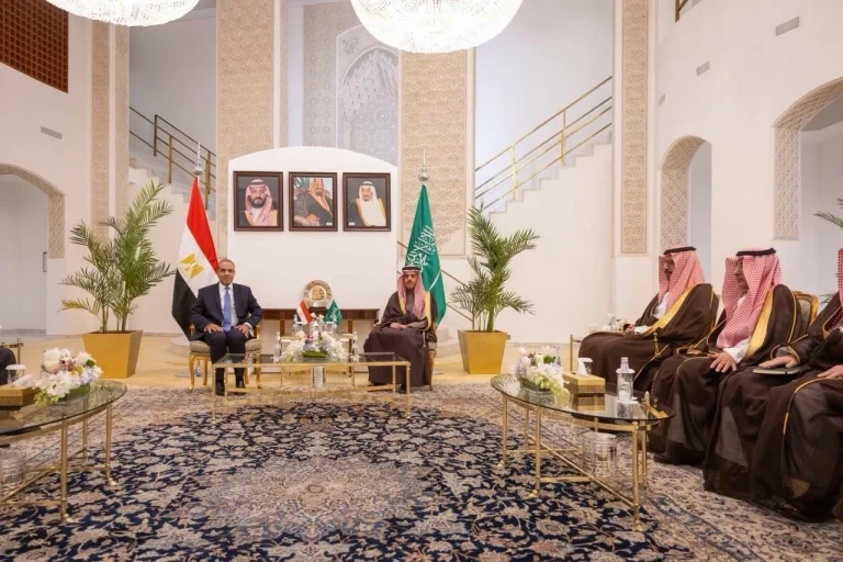 وزير الخارجية المصري: أمن السعودية من الأمن القومي العربي