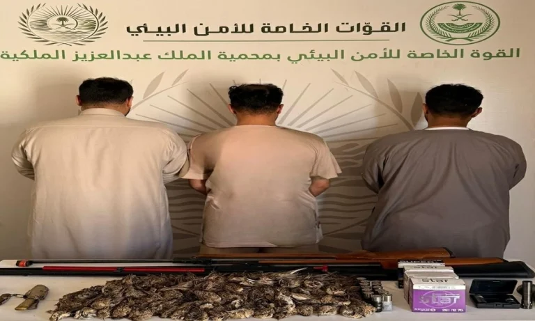 جهود الأمن البيئي: القبض على 3 مخالفين بمحمية الملك عبدالعزيز