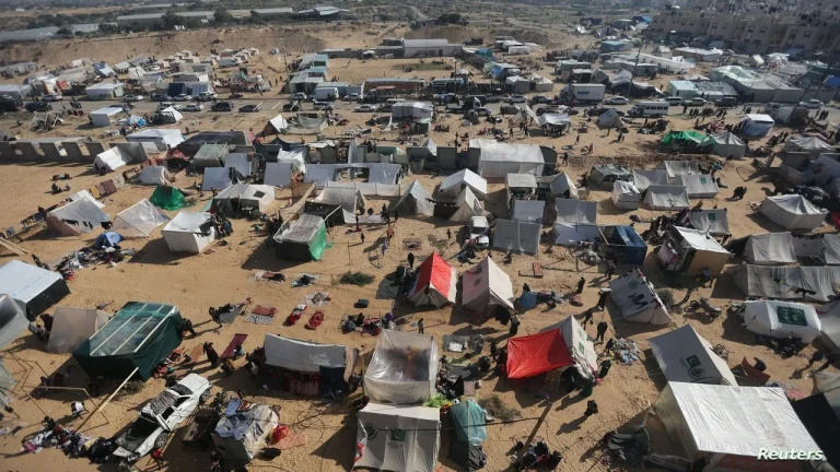 إحصائيات المواليد في غزة: 2890 مولوداً يتحدون الحصار إحصائيات المواليد في غزة: 2890 مولوداً يتحدون الحصار