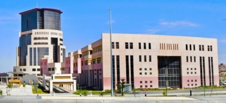 تعليق الدراسة الحضورية في جامعتي الملك خالد وبيشة غداً