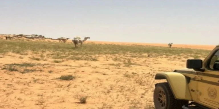 الأمن البيئي يضبط مخالفين لاستغلال الرواسب والرعي بالمحميات