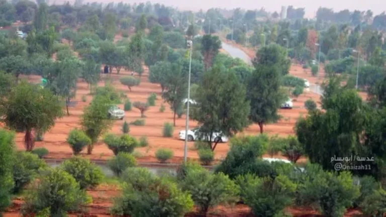 دليل إسناد الخدمات الحكومية للقطاع غير الربحي ورؤية 2030 دليل إسناد الخدمات الحكومية للقطاع غير الربحي ورؤية 2030