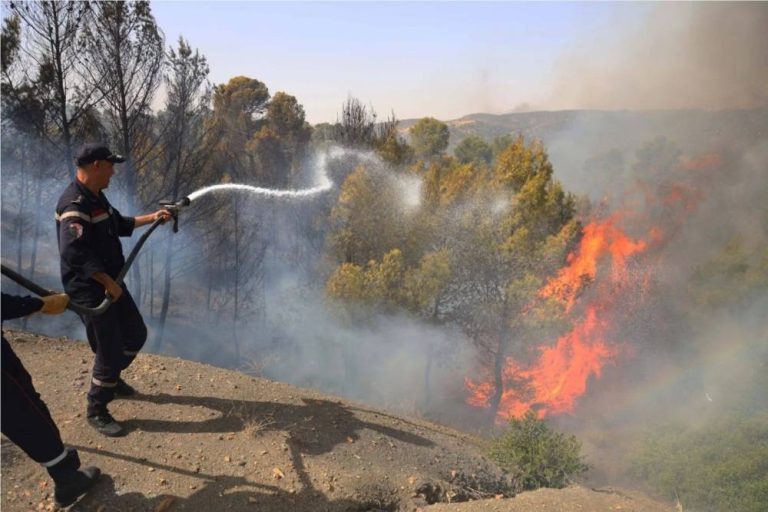 تحقيق في شبهة افتعال حرائق الجزائر بعد وفاة العشرات تحقيق في شبهة افتعال حرائق الجزائر بعد وفاة العشرات