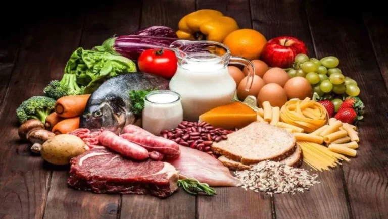 البلديات تعتمد الكاميرات المحمولة لتعزيز سلامة الغذاء البلديات تعتمد الكاميرات المحمولة لتعزيز سلامة الغذاء