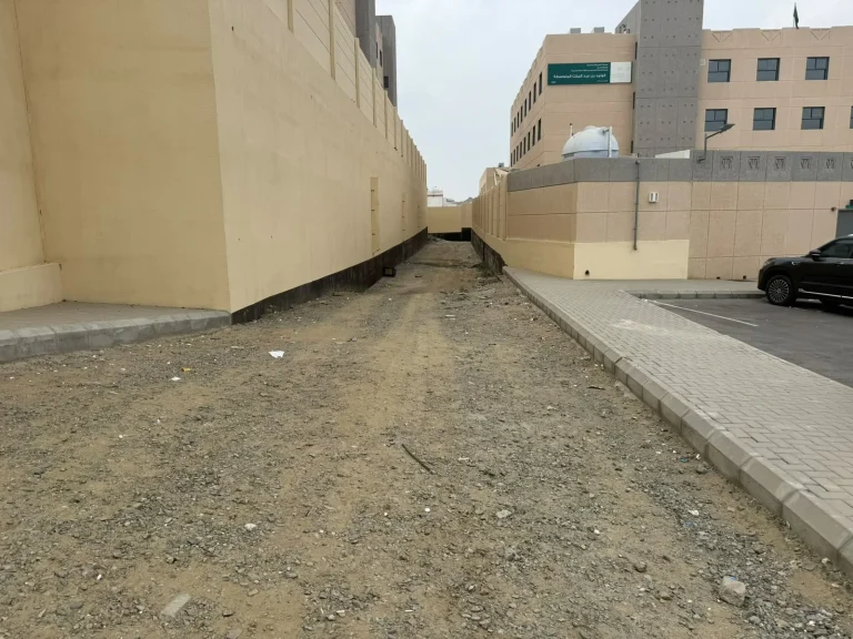 مطالبات بتفعيل التشجير حول المدارس في المملكة مطالبات بتفعيل التشجير حول المدارس في المملكة