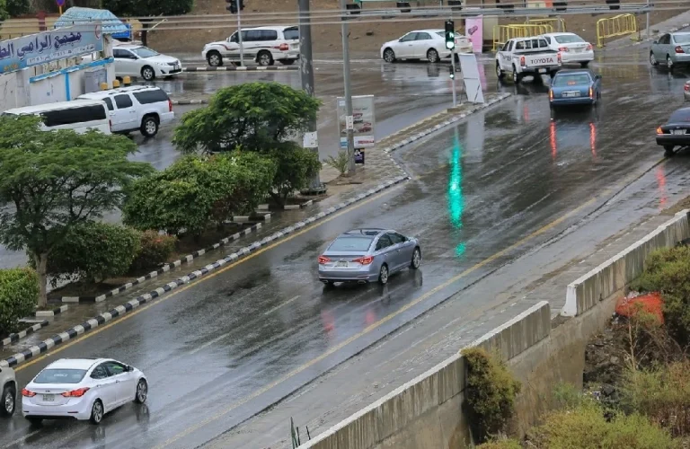 حالة الطقس في السعودية: أمطار رعدية على عدة مناطق حالة الطقس في السعودية: أمطار رعدية على عدة مناطق