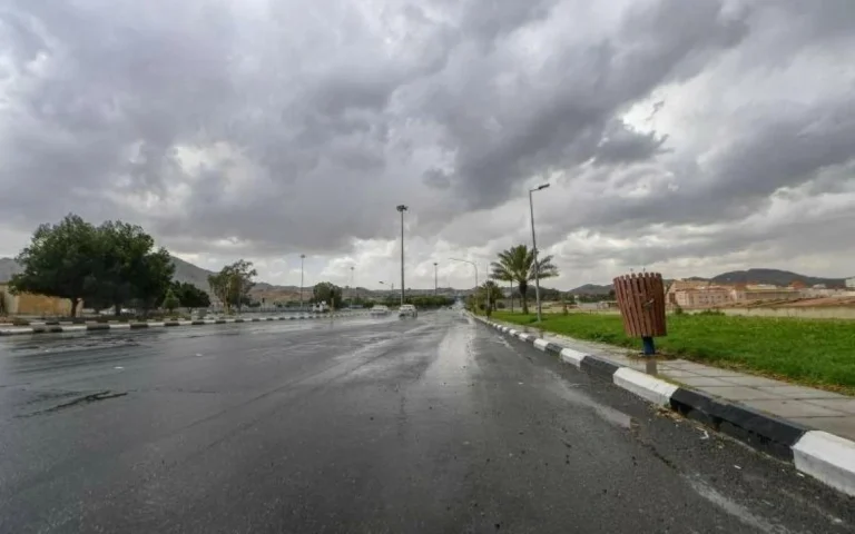 حالة الطقس: أمطار رعدية بعدة مناطق وحرارة مرتفعة بالشرقية