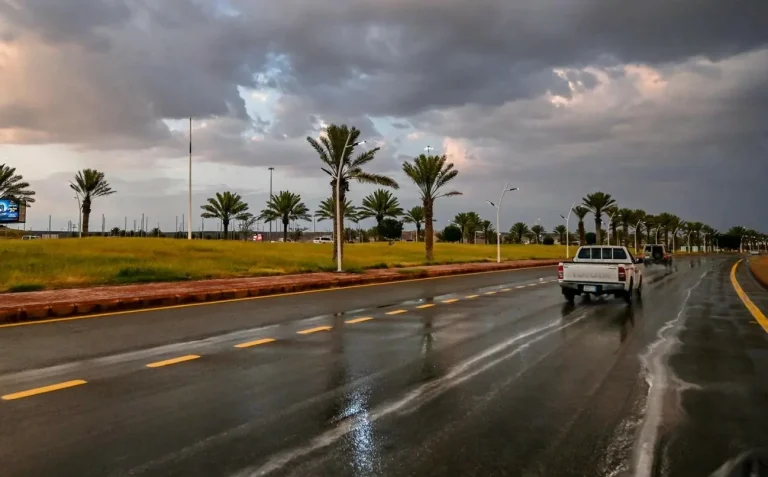 الأرصاد ينبه من هطول أمطار الباحة حتى الثامنة مساءً