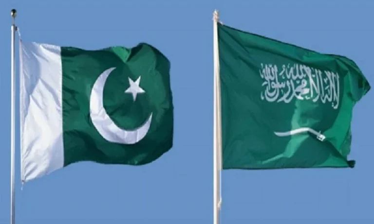 مساعٍ لرفع الصادرات الزراعية الباكستانية إلى 3 مليارات دولار مساعٍ لرفع الصادرات الزراعية الباكستانية إلى 3 مليارات دولار