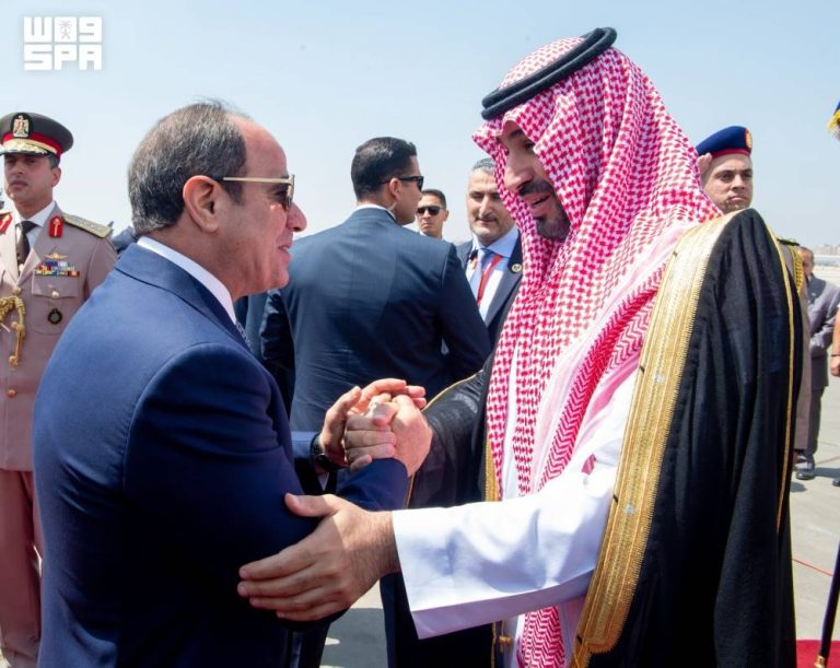 مصر والسعودية تؤكدان ضرورة ضمان أمن الملاحة البحرية