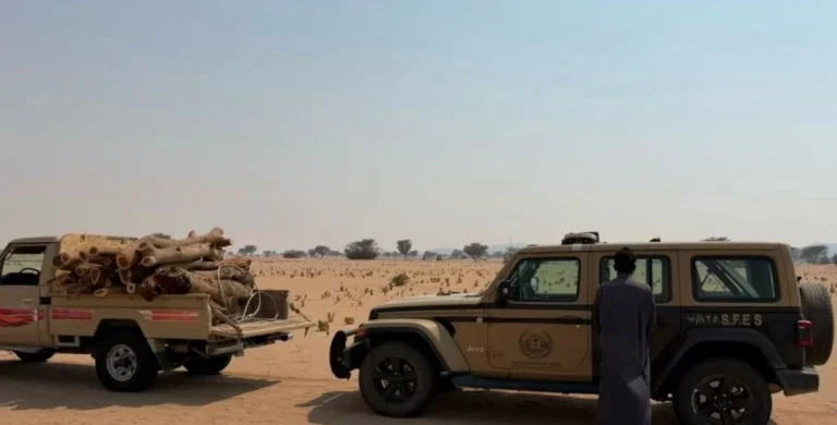 الأمن البيئي يضبط ناقل حطب محلي في المدينة المنورة الأمن البيئي يضبط ناقل حطب محلي في المدينة المنورة
