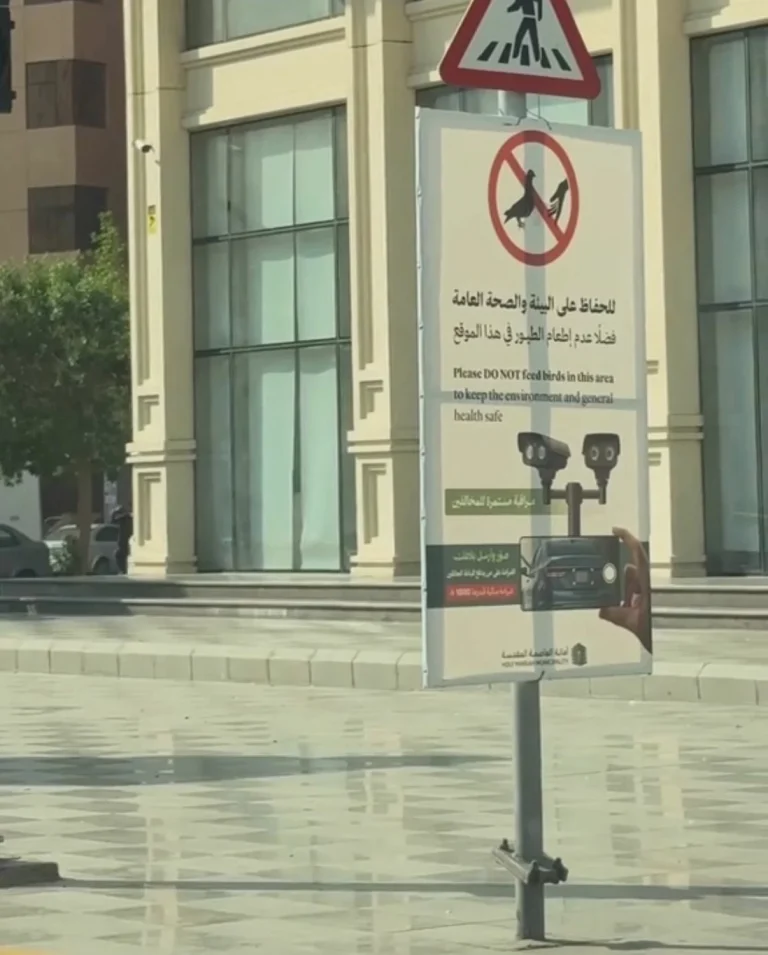 أمانة العاصمة المقدسة تكشف سبب اختفاء لوحة منع إطعام الطيور