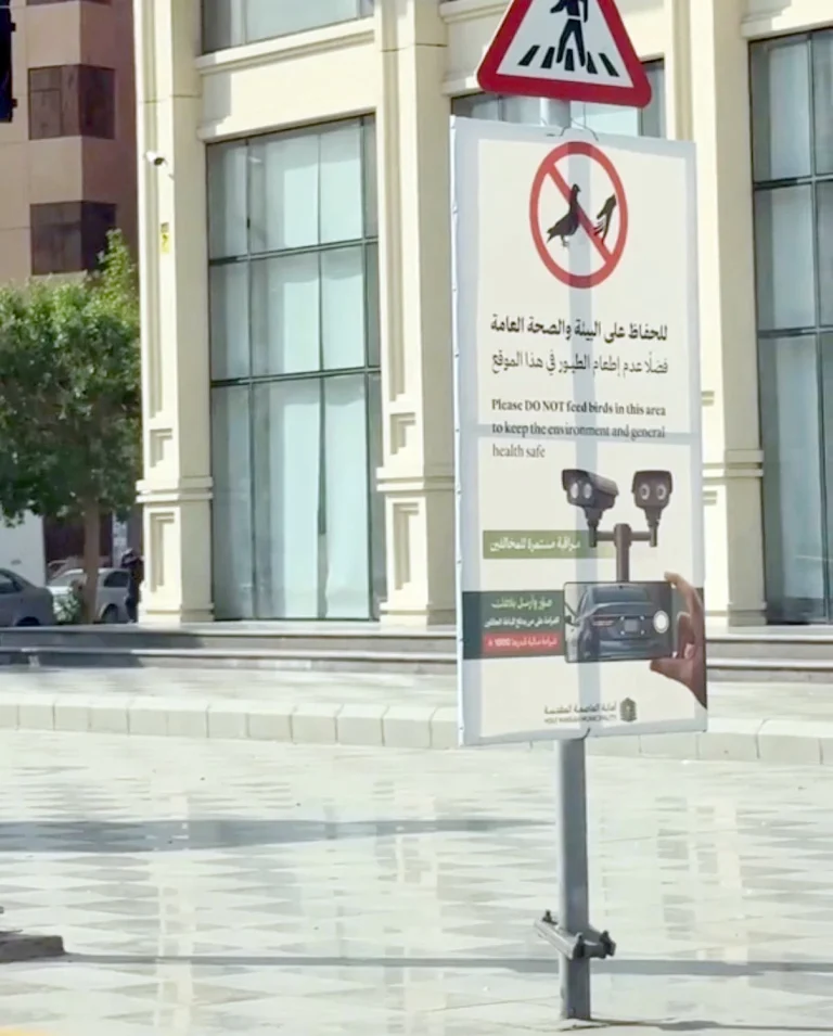 أمانة مكة تكشف سبب اختفاء لوحة منع إطعام الحمام