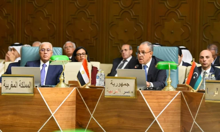 مصر تدعو إلى تكامل أمني ودفاعي عربي لمواجهة التهديدات