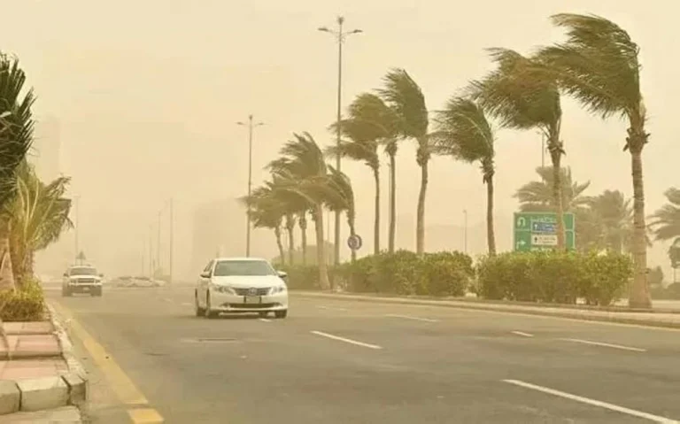 المركز الوطني للأرصاد يحذر من رياح نشطة في تبوك