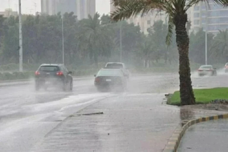 حالة الطقس: أمطار رعدية وغزيرة تؤدي لجريان السيول