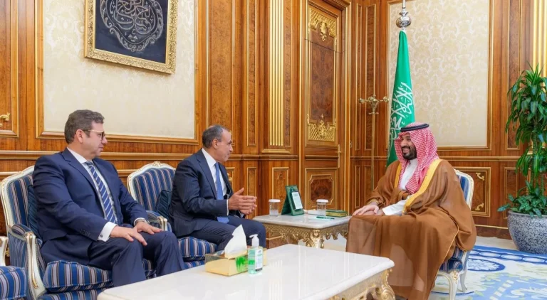 ولي العهد يتسلم رسالة خطية للملك سلمان من الرئيس المصري