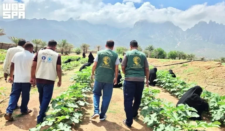 مركز الملك سلمان للإغاثة يتفقد مشروعاً زراعياً لـ115 امرأة بسقطرى