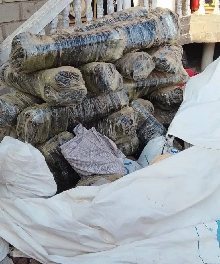 محافظة شبوة: ضبط 1000 قطعة سلاح والإطاحة بخلية حوثية محافظة شبوة: ضبط 1000 قطعة سلاح والإطاحة بخلية حوثية