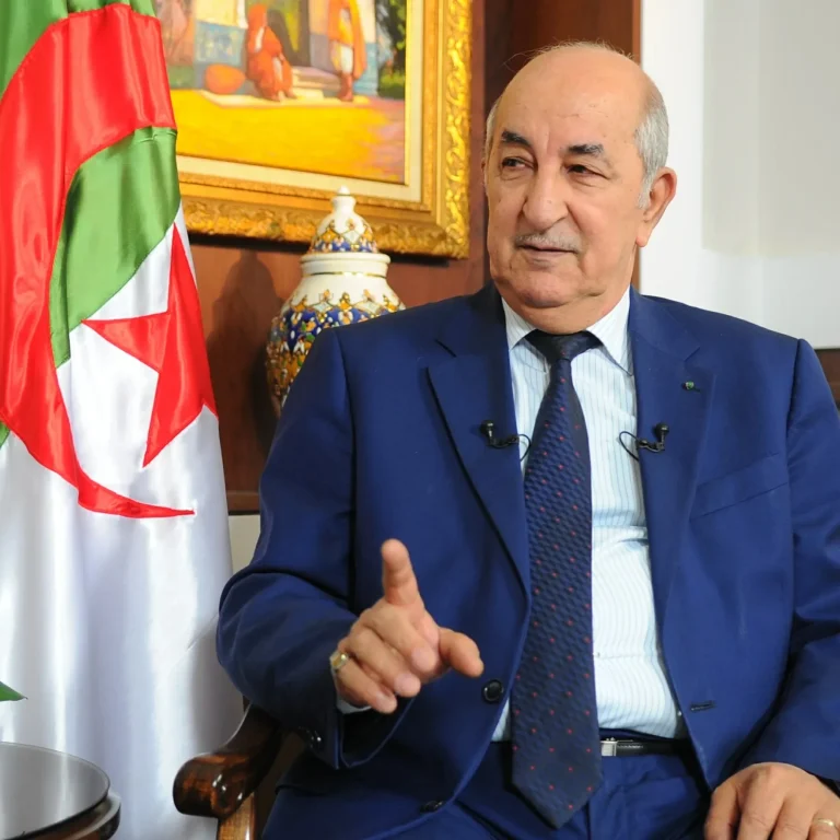 إرسال قوات جزائرية إلى النيجر لحماية المصالح المشتركة إرسال قوات جزائرية إلى النيجر لحماية المصالح المشتركة